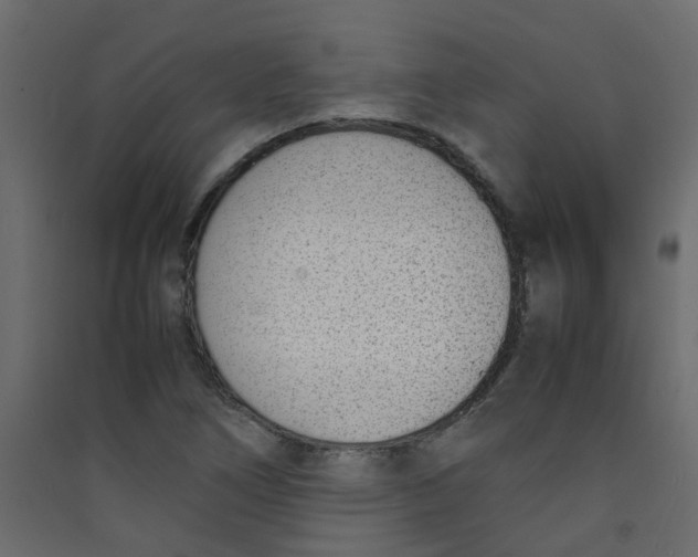 X0000089461266200707131940