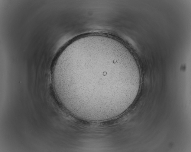 X0000089461267200707131940