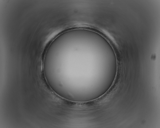 X0000089461269200707131940