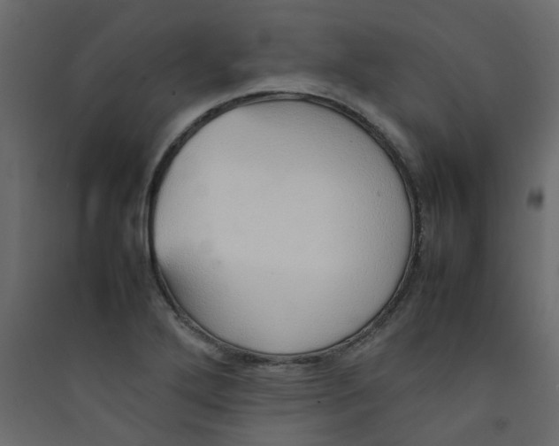 X0000089461272200707131940