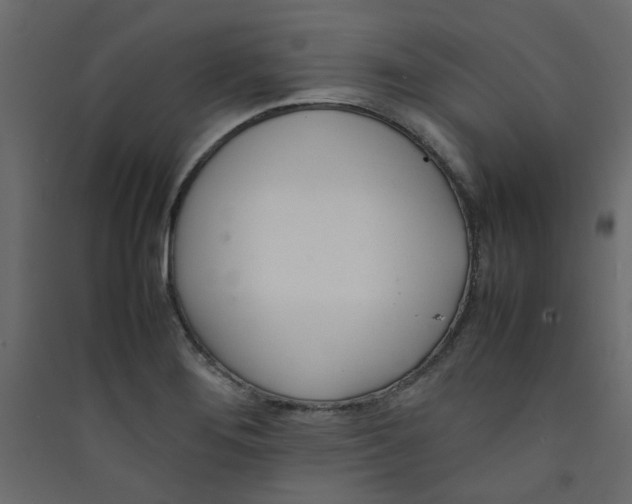 X0000089461276200707131940