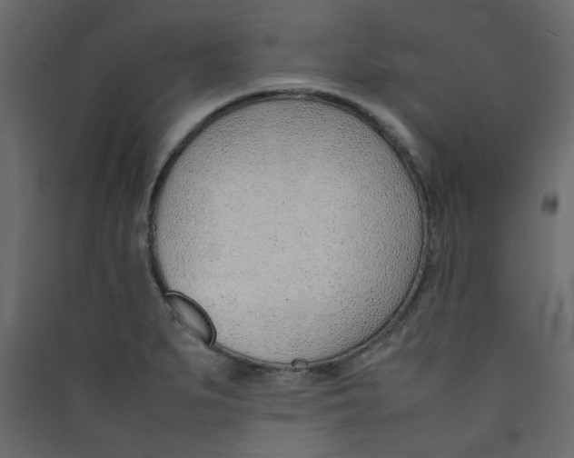 X0000089461279200707131940