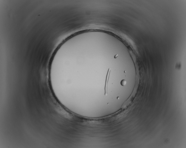 X0000089461280200707131940