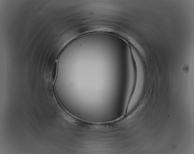 X0000089461281200707131940