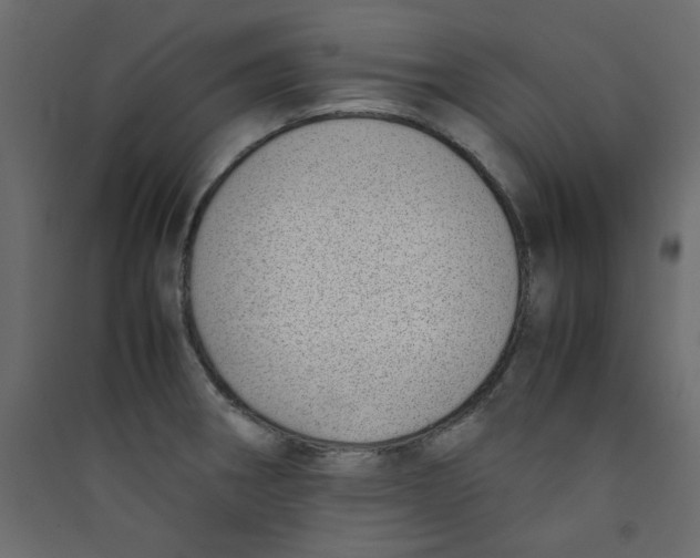 X0000089461282200707131940