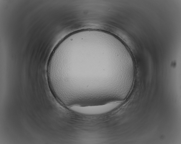 X0000089461283200707131940