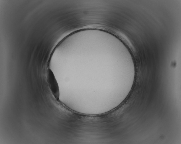 X0000089461284200707131940