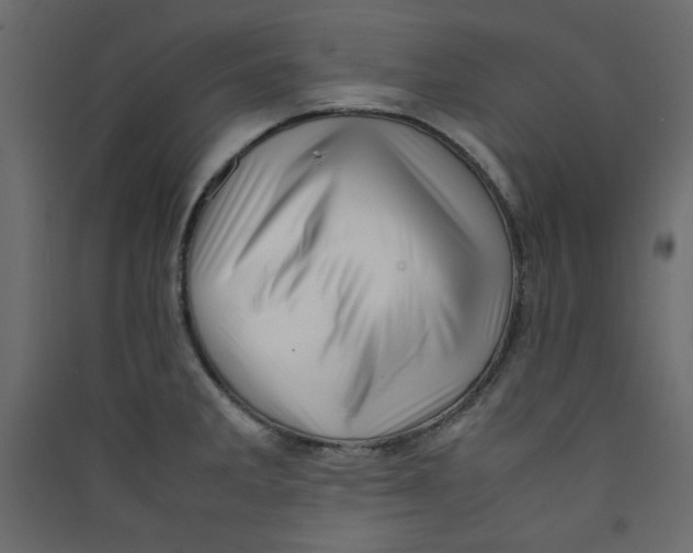 X0000089461285200707131940