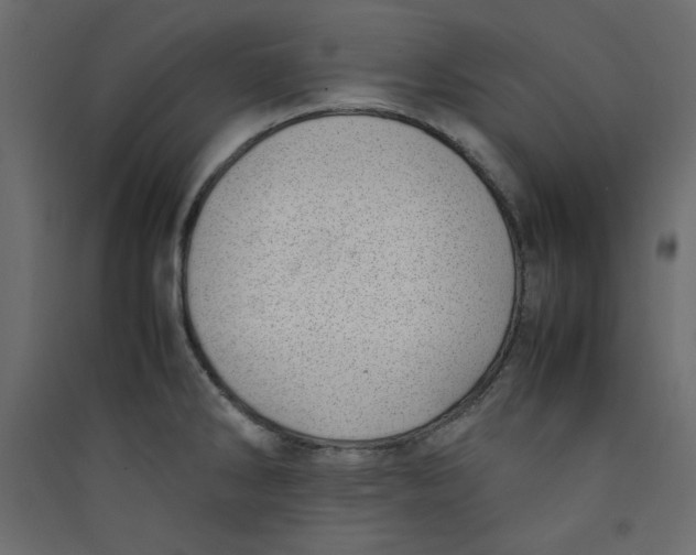 X0000089461286200707131940