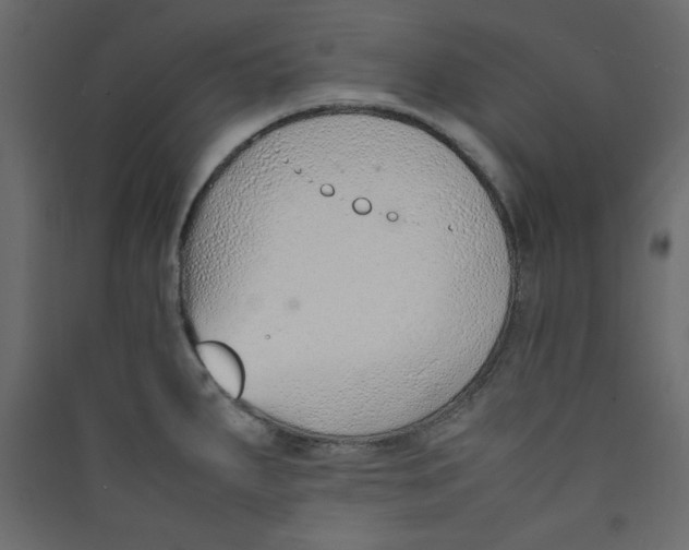 X0000089461287200707131940