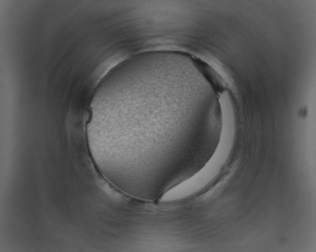 X0000089461289200707131940