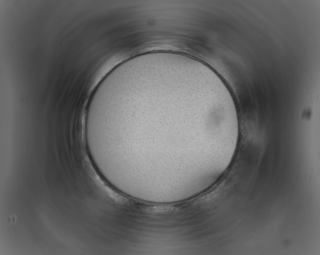 X0000089461290200707131940