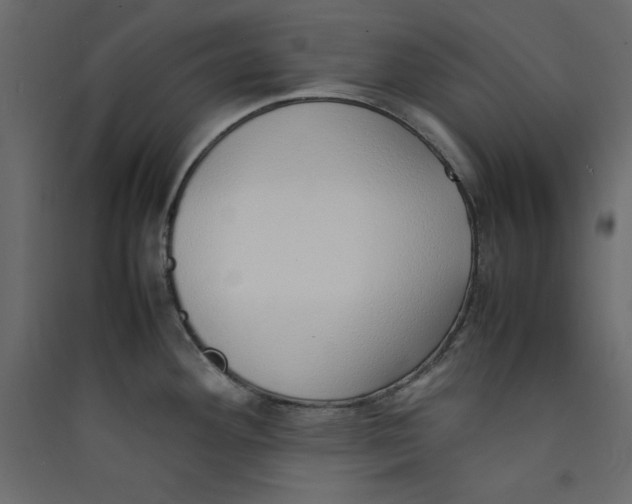 X0000089461292200707131940