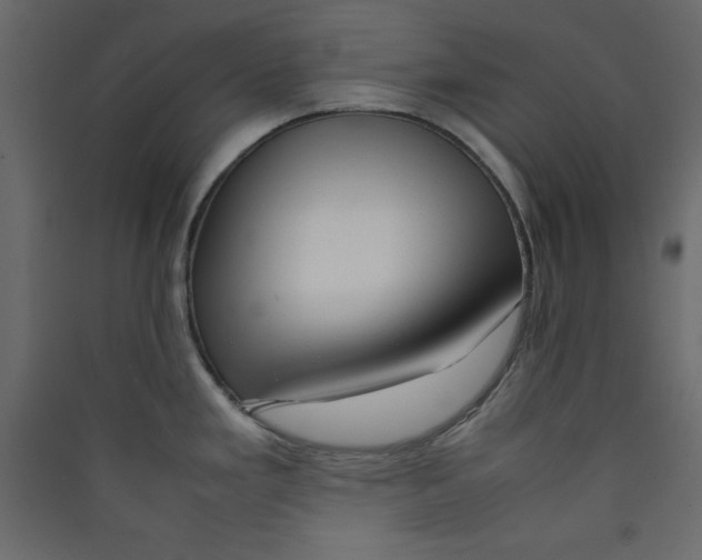 X0000089461293200707131940