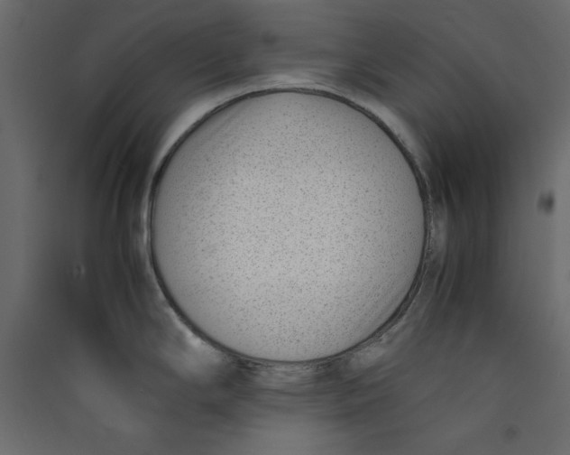 X0000089461294200707131940