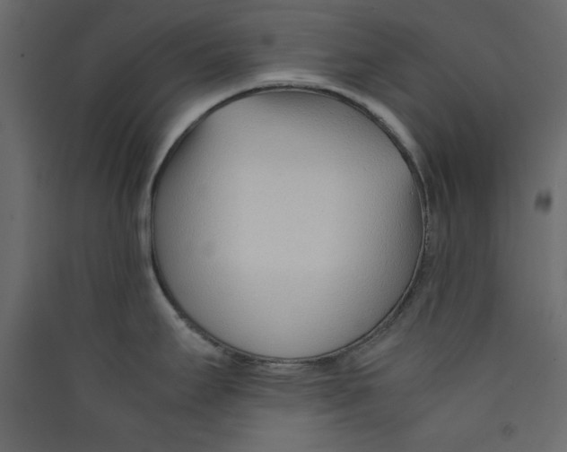 X0000089461295200707131940