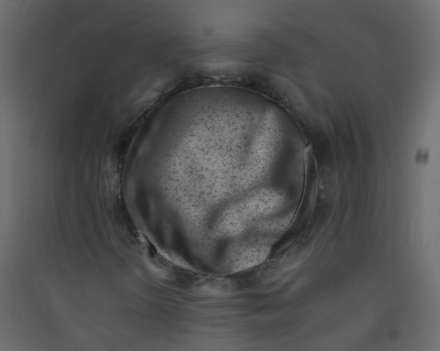 X0000089461298200707131939