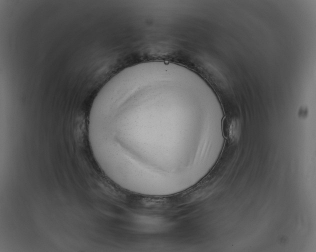 X0000089461299200707131939