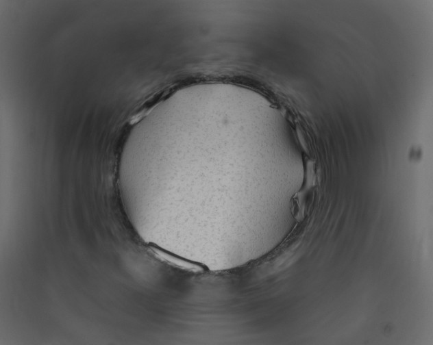X0000089461300200707131939