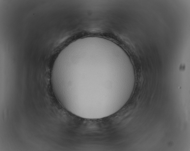 X0000089461301200707131939