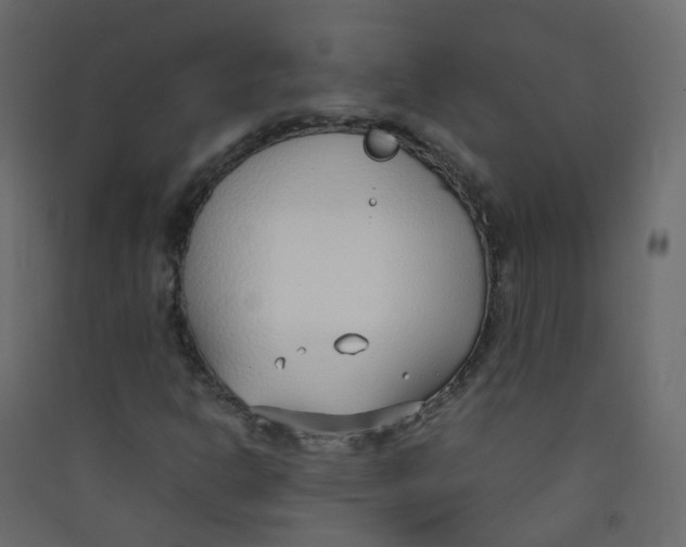 X0000089461302200707131939