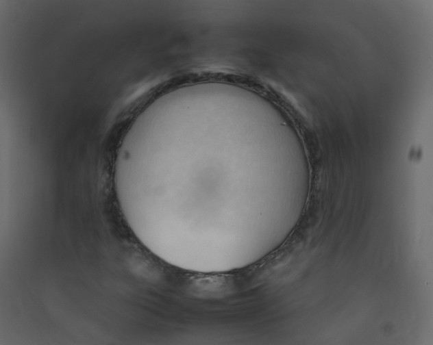 X0000089461303200707131939