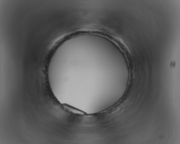 X0000089461304200707131939