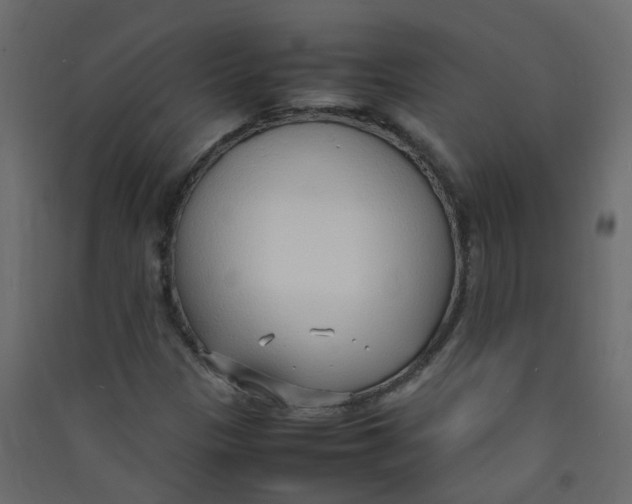 X0000089461305200707131939