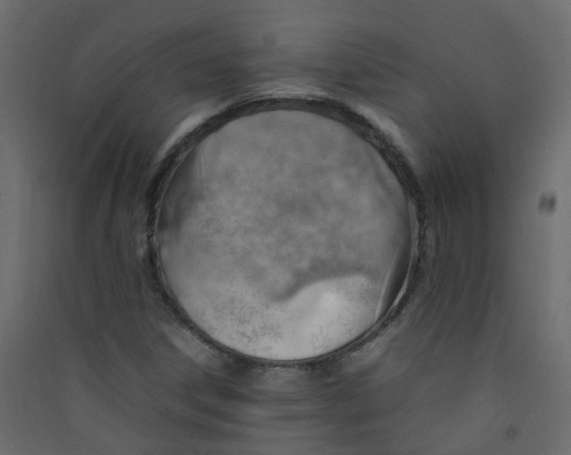 X0000089461306200707131939