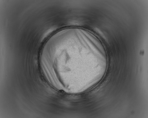 X0000089461307200707131939