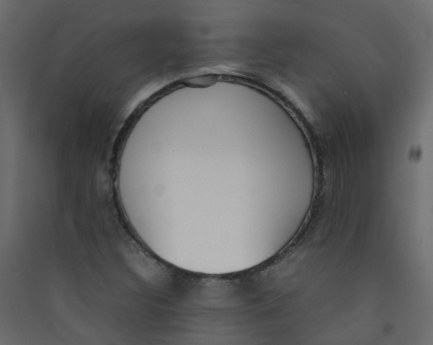 X0000089461308200707131939