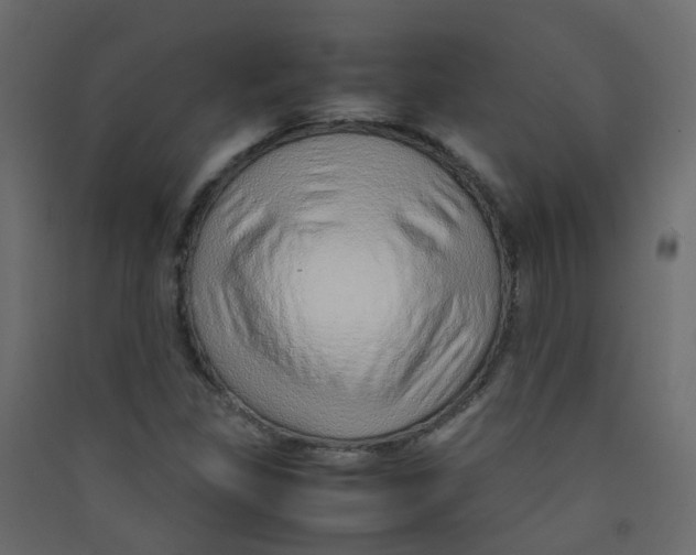 X0000089461309200707131939