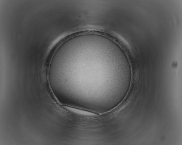 X0000089461310200707131939