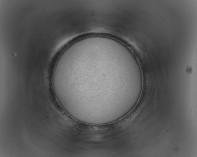 X0000089461311200707131939
