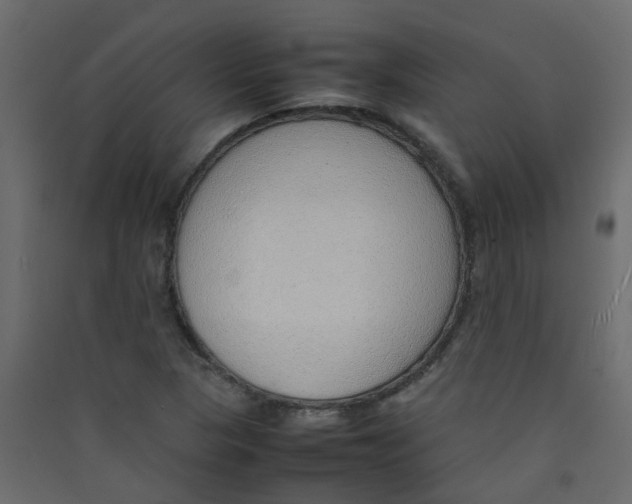 X0000089461313200707131939