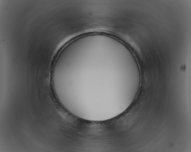 X0000089461316200707131940