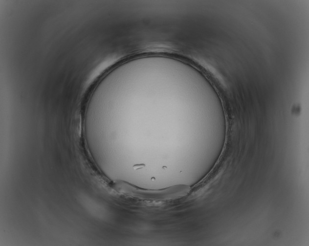 X0000089461317200707131940