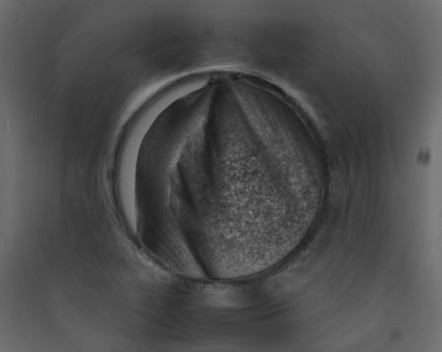 X0000089461319200707131940