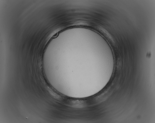 X0000089461321200707131940