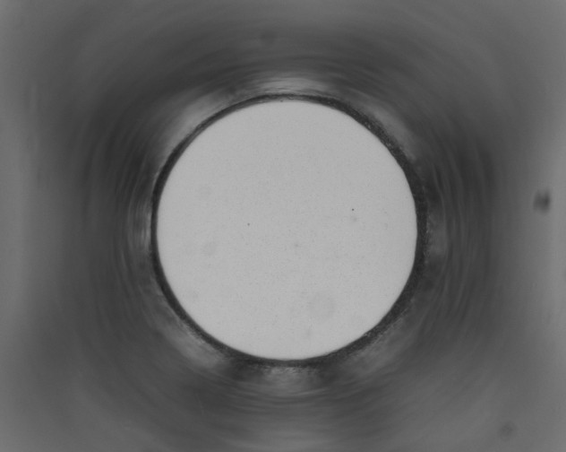 X0000089461322200707131940