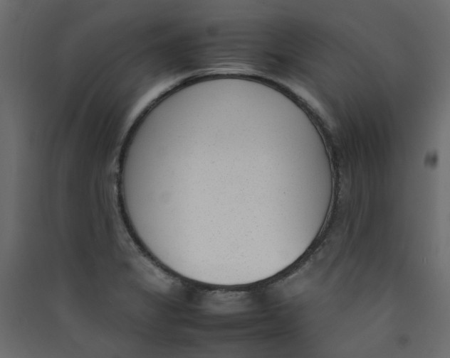 X0000089461325200707131940