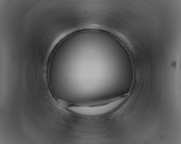 X0000089461326200707131940