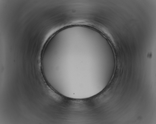 X0000089461328200707131940