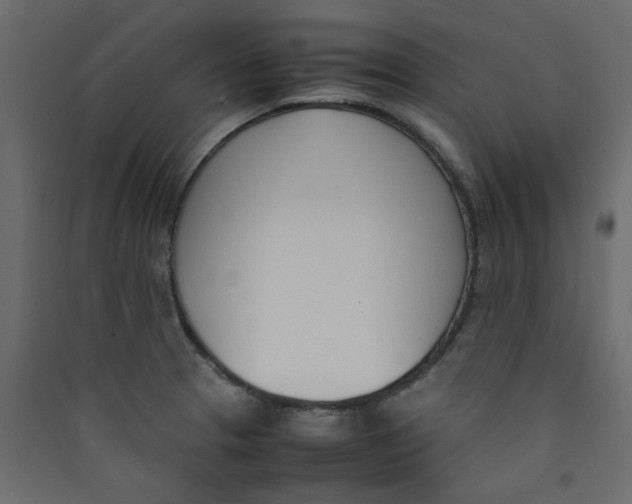 X0000089461329200707131940