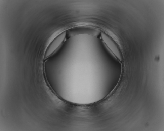 X0000089461330200707131940