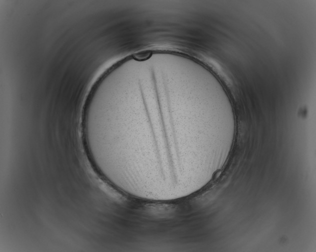 X0000089461331200707131940