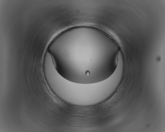 X0000089461332200707131940