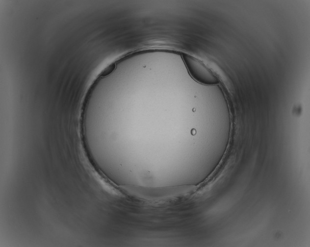 X0000089461333200707131940