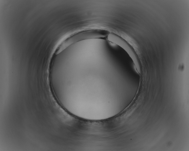 X0000089461334200707131940