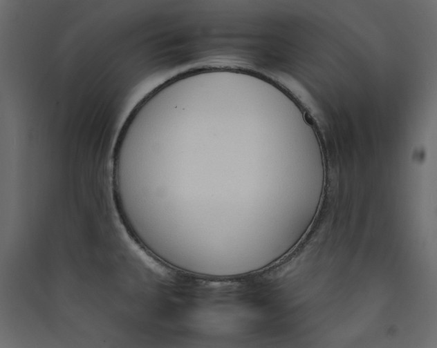 X0000089461335200707131940